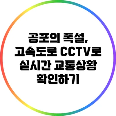 공포의 폭설, 고속도로 CCTV로 실시간 교통상황 확인하기