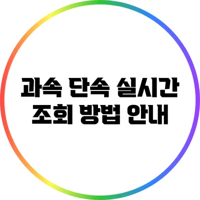 과속 단속 실시간 조회 방법 안내