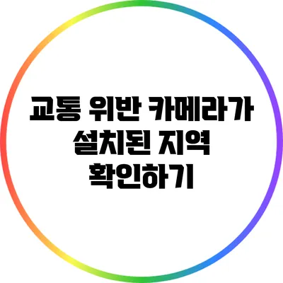 교통 위반 카메라가 설치된 지역 확인하기