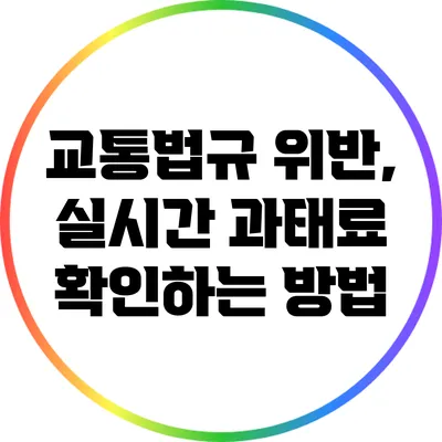 교통법규 위반, 실시간 과태료 확인하는 방법