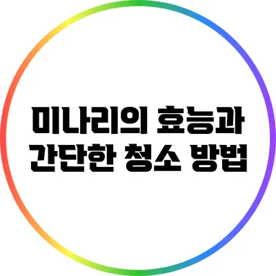 미나리의 효능과 간단한 청소 방법