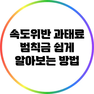 속도위반 과태료 범칙금 쉽게 알아보는 방법