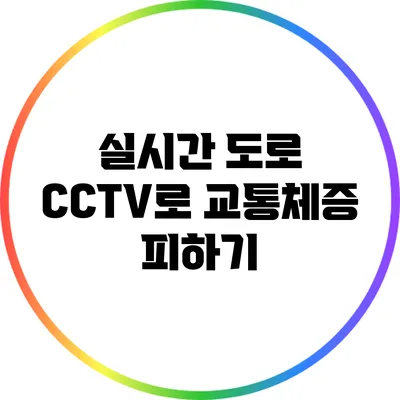 실시간 도로 CCTV로 교통체증 피하기