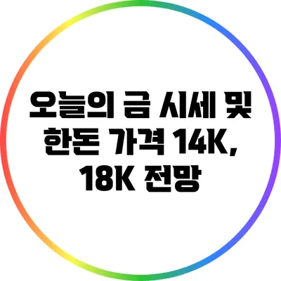 오늘의 금 시세 및 한돈 가격: 14K, 18K 전망
