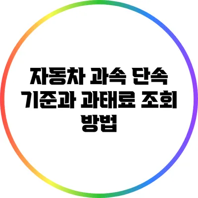 자동차 과속 단속 기준과 과태료 조회 방법