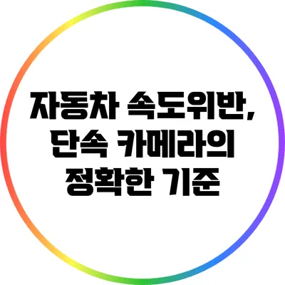 자동차 속도위반, 단속 카메라의 정확한 기준