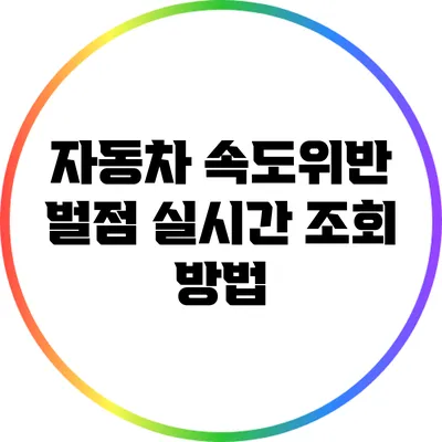 자동차 속도위반 벌점 실시간 조회 방법