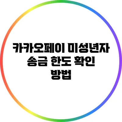 카카오페이 미성년자 송금 한도 확인 방법