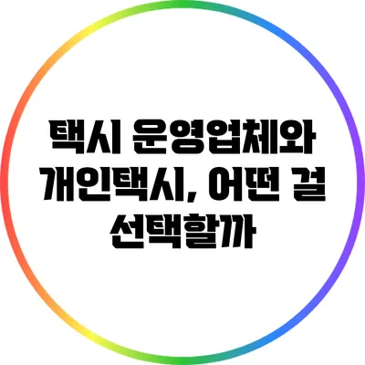 택시 운영업체와 개인택시, 어떤 걸 선택할까?