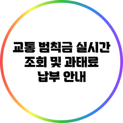 교통 범칙금 실시간 조회 및 과태료 납부 안내