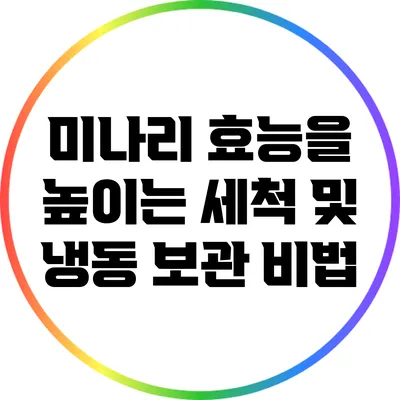 미나리 효능을 높이는 세척 및 냉동 보관 비법
