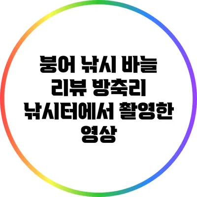 붕어 낚시 바늘 리뷰: 방축리 낚시터에서 촬영한 영상