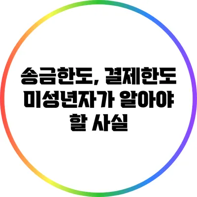 송금한도, 결제한도: 미성년자가 알아야 할 사실