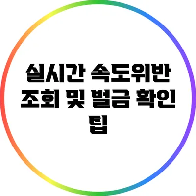실시간 속도위반 조회 및 벌금 확인 팁