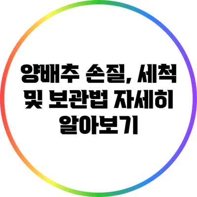 양배추 손질, 세척 및 보관법 자세히 알아보기