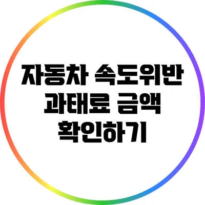 자동차 속도위반 과태료 금액 확인하기