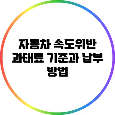 자동차 속도위반 과태료 기준과 납부 방법