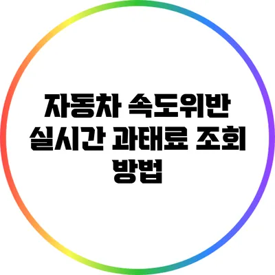 자동차 속도위반 실시간 과태료 조회 방법