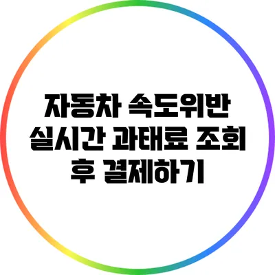 자동차 속도위반 실시간 과태료 조회 후 결제하기