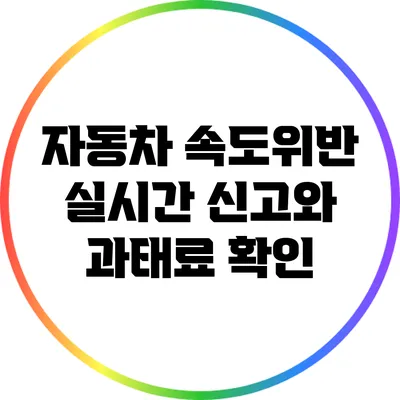 자동차 속도위반 실시간 신고와 과태료 확인