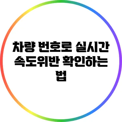 차량 번호로 실시간 속도위반 확인하는 법