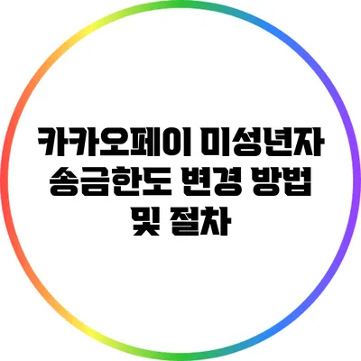 카카오페이 미성년자 송금한도 변경 방법 및 절차