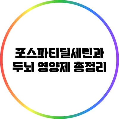 포스파티딜세린과 두뇌 영양제 총정리