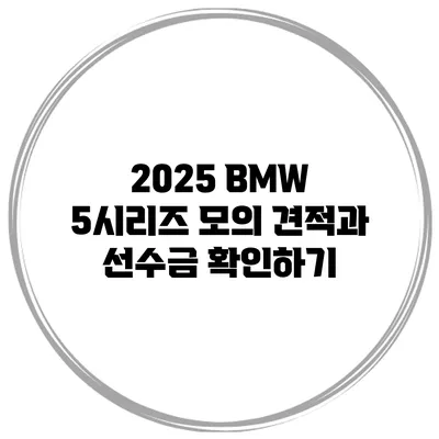 2025 BMW 5시리즈 모의 견적과 선수금 확인하기