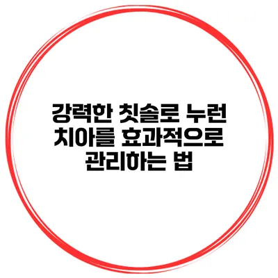 강력한 칫솔로 누런 치아를 효과적으로 관리하는 법