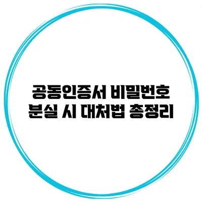 공동인증서 비밀번호 분실 시 대처법 총정리