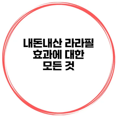 내돈내산 라라필 효과에 대한 모든 것