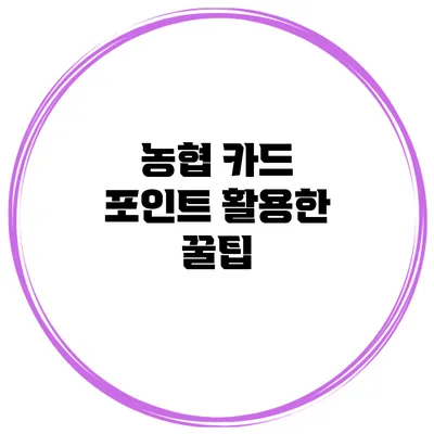 농협 카드 포인트 활용한 꿀팁