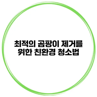 최적의 곰팡이 제거를 위한 친환경 청소법