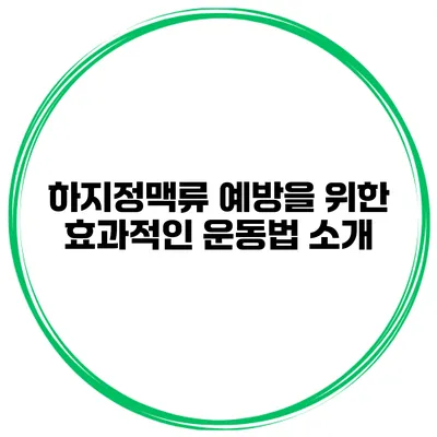 하지정맥류 예방을 위한 효과적인 운동법 소개