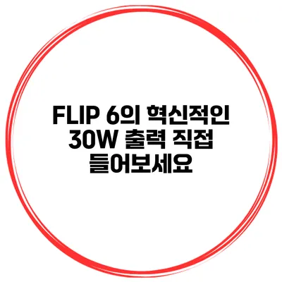 FLIP 6의 혁신적인 30W 출력 직접 들어보세요