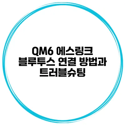 QM6 에스링크 블루투스 연결 방법과 트러블슈팅