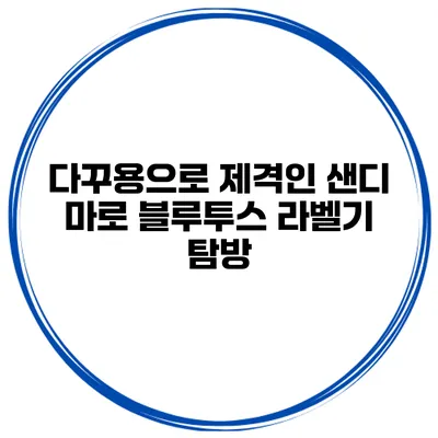 다꾸용으로 제격인 샌디 마로 블루투스 라벨기 탐방