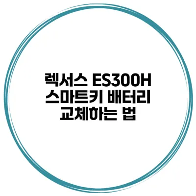 렉서스 ES300H 스마트키 배터리 교체하는 법