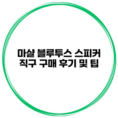 마샬 블루투스 스피커 직구 구매 후기 및 팁