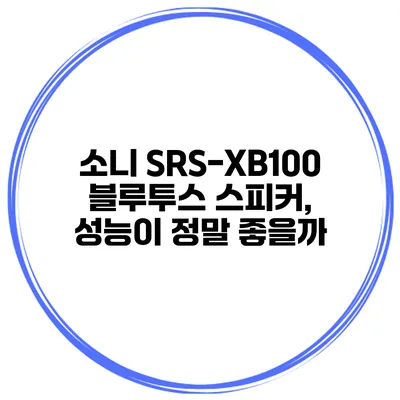 소니 SRS-XB100 블루투스 스피커, 성능이 정말 좋을까?