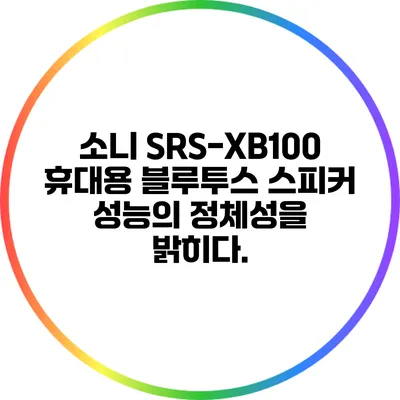소니 SRS-XB100 휴대용 블루투스 스피커 성능의 정체성을 밝히다.