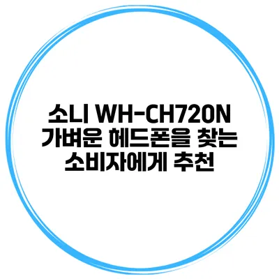 소니 WH-CH720N 가벼운 헤드폰을 찾는 소비자에게 추천