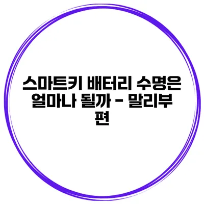 스마트키 배터리 수명은 얼마나 될까? - 말리부 편