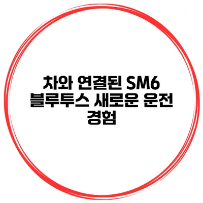 차와 연결된 SM6 블루투스 새로운 운전 경험