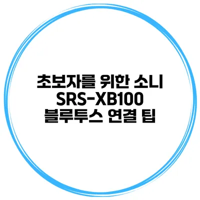 초보자를 위한 소니 SRS-XB100 블루투스 연결 팁